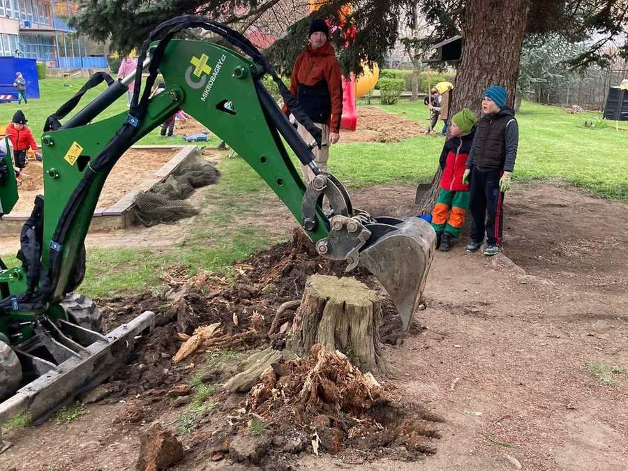 Výkop pařezu